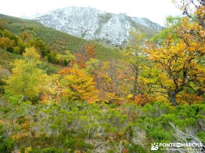 Hayedos Parque Natural de Redes;rutas la pedriza la jarosa guadarrama la pedriza mapa